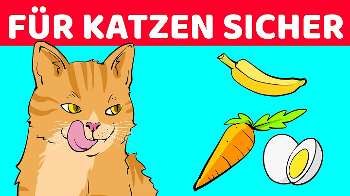 10 Menschliche Lebensmittel, Die Gut Für Katzen Sind