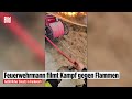 Frankreich brennt weiter: Feuerwehrmann filmt dramatischen Kampf gegen die Flammen