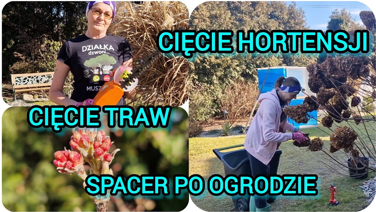 Pierwszy spacer po zimie,  cięcie hortensji i traw, czy rybki przezyły ? 