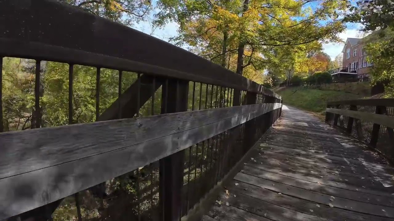 Fall of Neuse Trail park. # fall 