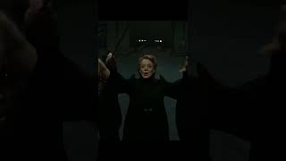 Mcgonagall Protects Hogwarts