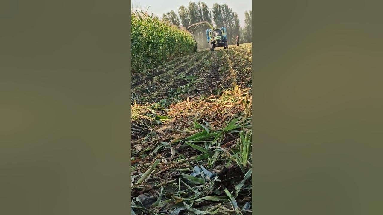 камбаин сотилади тел: +998917357887 - YouTube