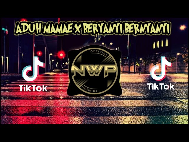 DJ Aduh Mamae X Bernyanyi - Bernyanyi Remix Slow Tiktok 2021 class=