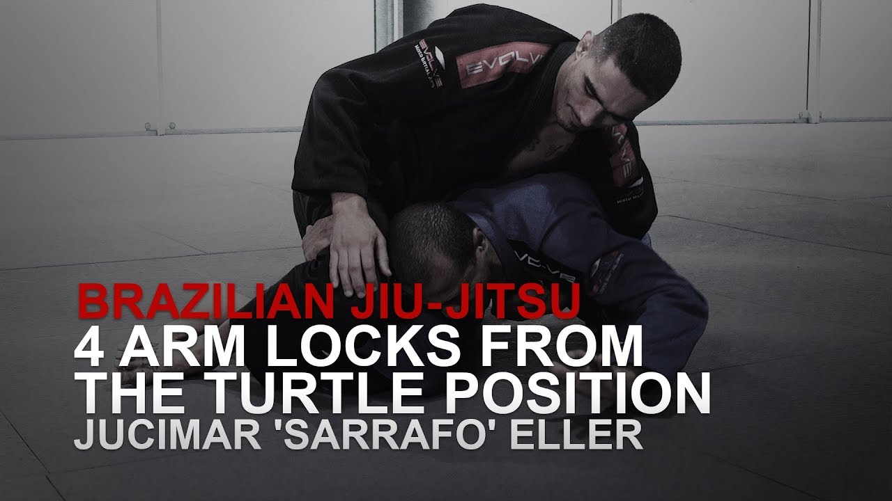 BJJ 4 Arm Locks From The Turtle Position Evolve University YouTube