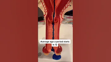 Periods 