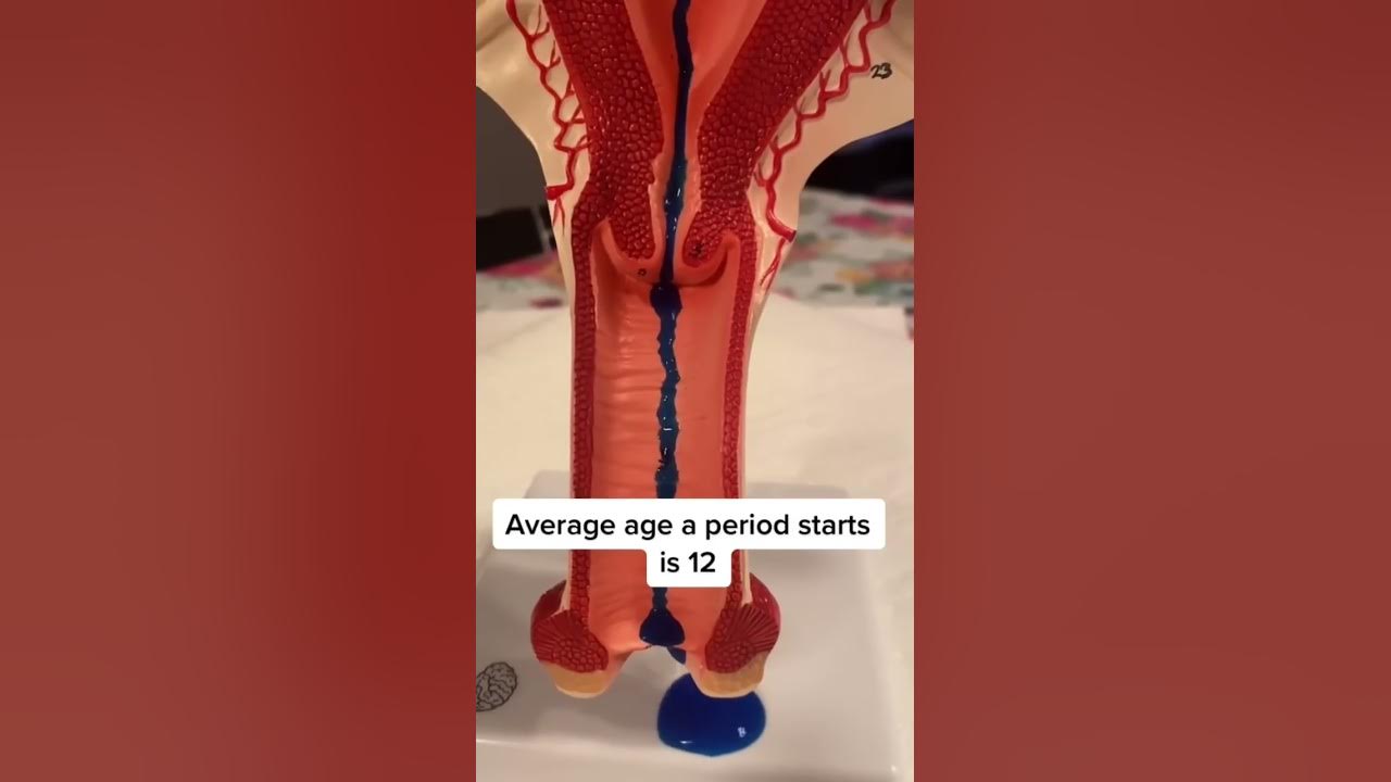 Periods