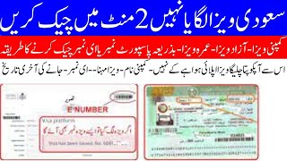 How to Check Saudi Visa Status | saudi ka visa kaise check kare online 2023 | visa kaise check kare