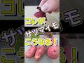 サツマイモ　再生栽培　ヘタの部分からの再生 #再生栽培