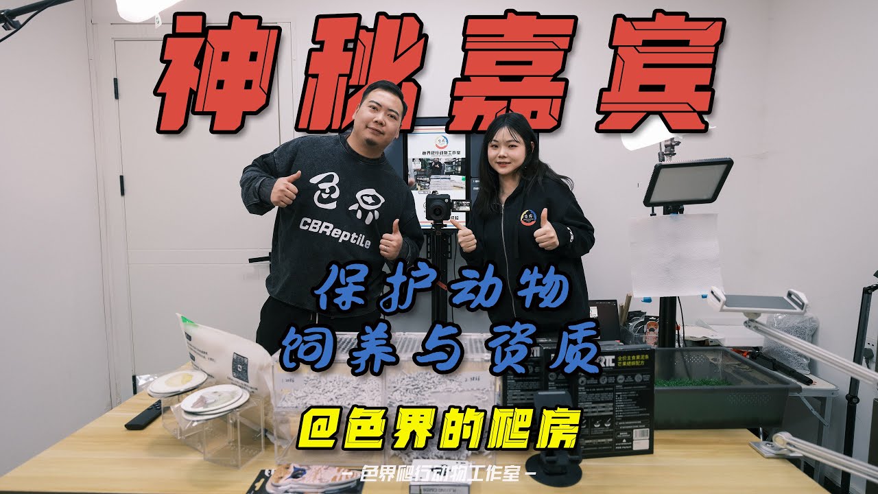 直播预告 保育神秘嘉宾到场 详情关注色界的爬房