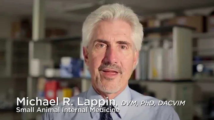 2014 Robert W. Kirk Award Winner - Dr. Michael Lap...