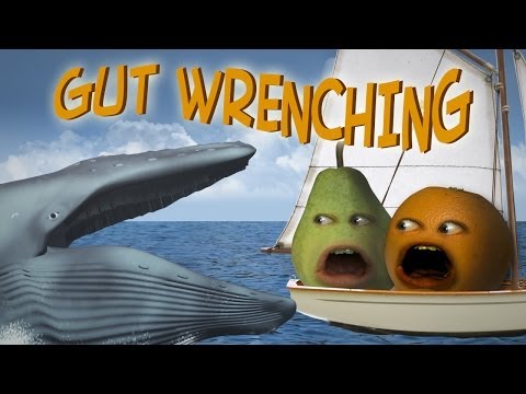 Annoying Orange - Gut Wrenching (Ft. Steve Zaragoza as Captain Obvious!)