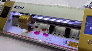 TT450  auto contour cutting machine.