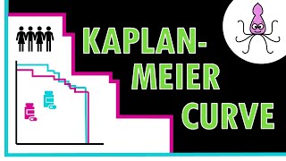 How to interpret KAPLAN-MEIER curves - Easily explained!