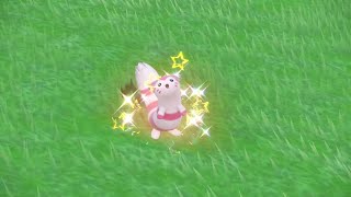 Shiny Furret in Pokémon Scarlet DLC