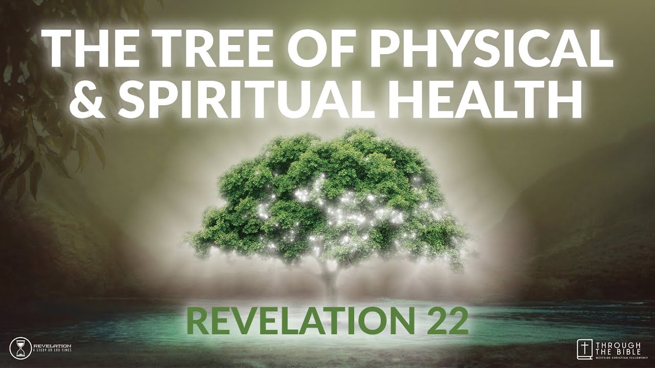 The Tree of Physical & Spiritual Health | Pastor Shane Idleman - YouTube
