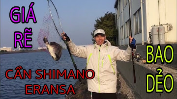 CÂU CÁ TRÁP CẦN SHIMANO ERANSA VÀ MÁY DESPINA C2500 LÊN HÀNG DẺO ĐÃ CẢ MẮT||NDK Vlogs