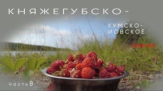 Княжегубско-Кумско-Иовское кольцо 2023 часть 8 на байдарке, перевалили в Княжегубское водохранилище