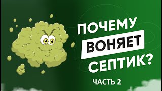 Воняет септик на участке, что делать?