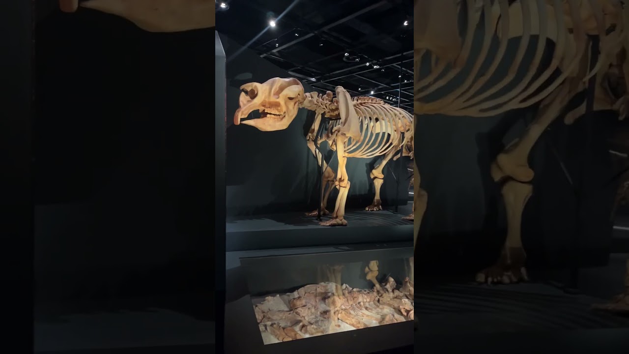 Enjoy FREE ENTRY to WA Museums All Summer! 