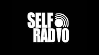 Download lagu GTA V Self Radio Soundtrack 01. Aloe Blacc feat. Avicii - Wake Me Up