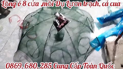 lồng ô 8 cửa- lưới lồng bát quái lồng lò xo--mồi Dụ Lươn trạch ếch rắn cua cá