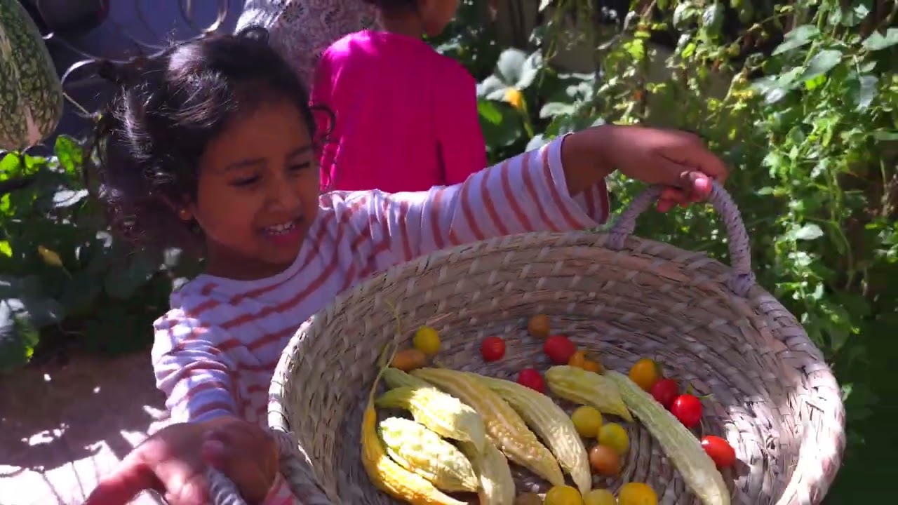 Homes and Gardens  France Europe