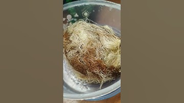 Không mua bắp ngô, nhưng râu ngô đun uống khá ngon