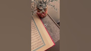 تلاوة عطرة من آيات الذكر الحكيم