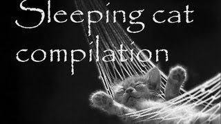 sleeping cat compilation. kitten falling asleep