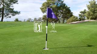 Lpga And Pga Tour Stars Play In The Grant Thornton Invitational Game Of Golf Professional Golf