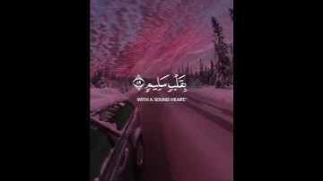 سورة الشعراء | القارئ أحمد النفيس