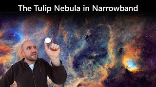 Capturing the Tulip Nebula and Dusty Surroundings in Narrowband