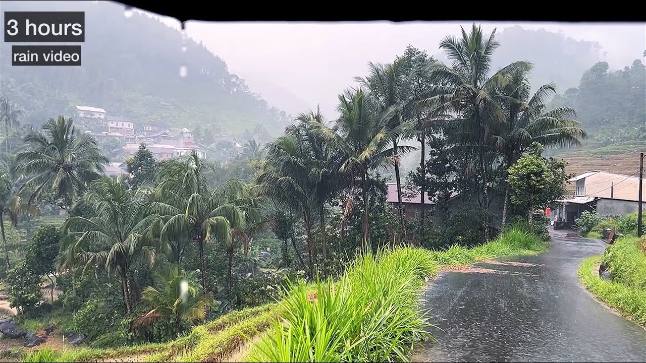 Красивый дождь в индонезийской деревне||атмосфера дождя в деревне||очень расслабляющая