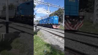 Tren carbonero en estación zeballos