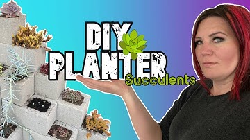 EASY DIY PLANTER FOR SUCCULENTS/CINDER BLOCKS PLANTER