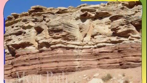 Class V: science - Rocks,minerals,Soil,Igneous,Diseases,Fuels