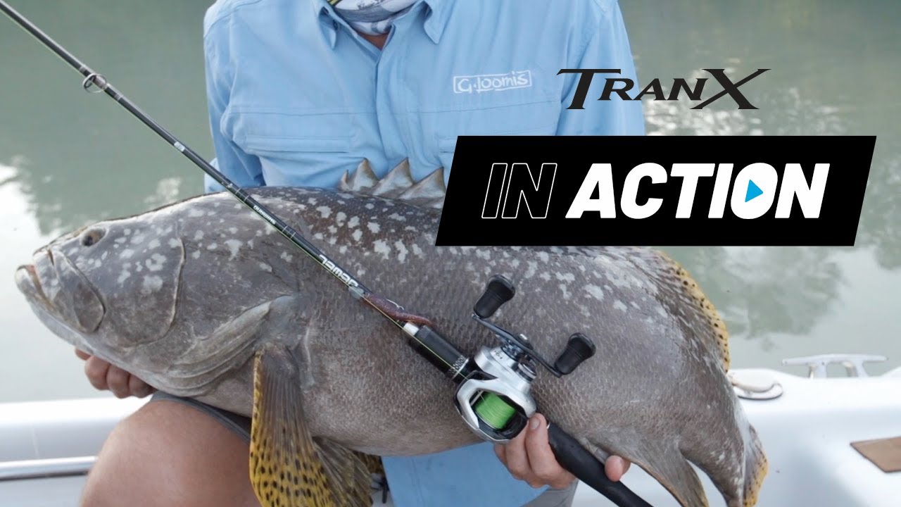 IN ACTION: Shimano Tranx 200 