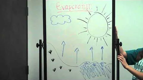 Water Cycle
