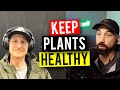 Soil amendments to improve your garden garden talk 107