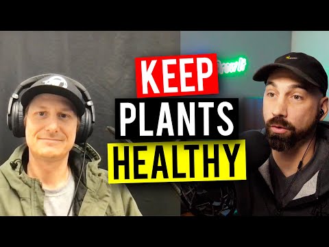 Soil Amendments To Improve Your Garden! (Garden Talk #107)