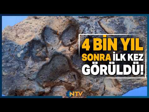 Shocking Discovery in 4,000-Year-Old Adobe! | NTV