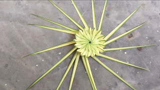 Craft Work By Date Palm Leaf | Flower making tutorial.