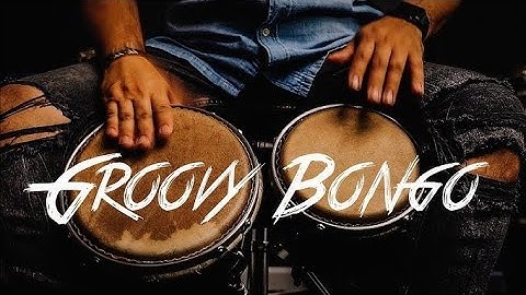 BONGO REGGAE LOOPS - 70bpm☘️🥁