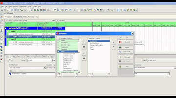 Primavera P6 to show predecessor and successors in activity table