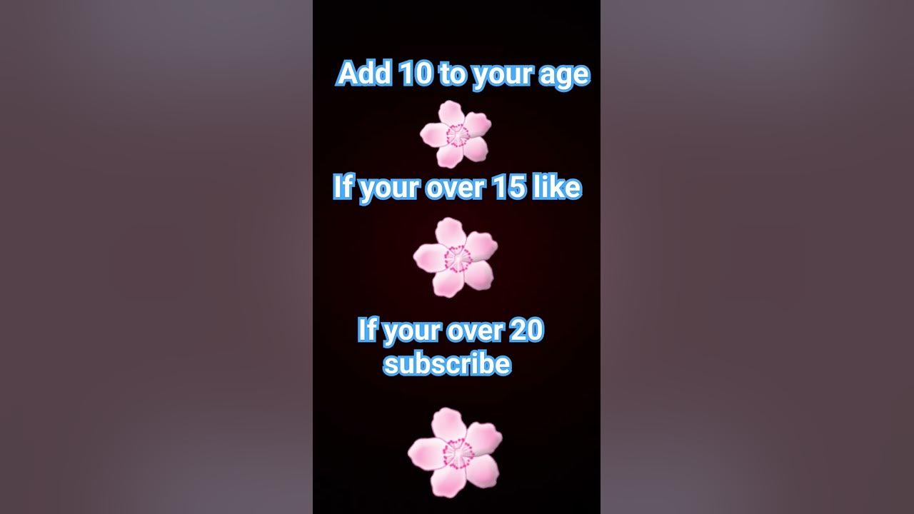 02 January 2024 YouTube