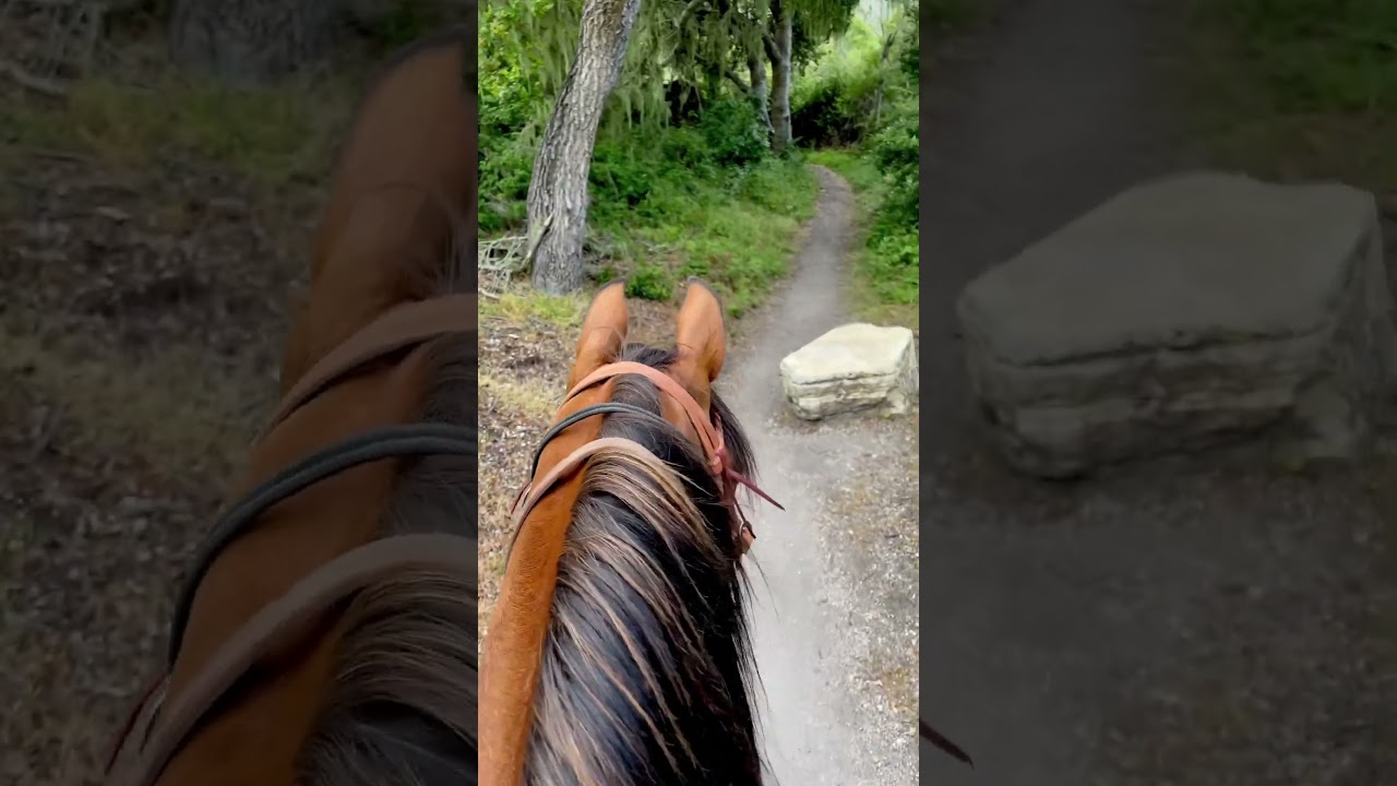Jazz encounters a dangerous rock in the middle of the trail at Montana de Oro