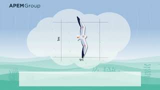 How LiDAR Works: A Quick Visual Guide for Offshore Wind Surveys