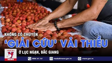 Thông tin vải thiều Lục Ngạn Bắc Giang cần 