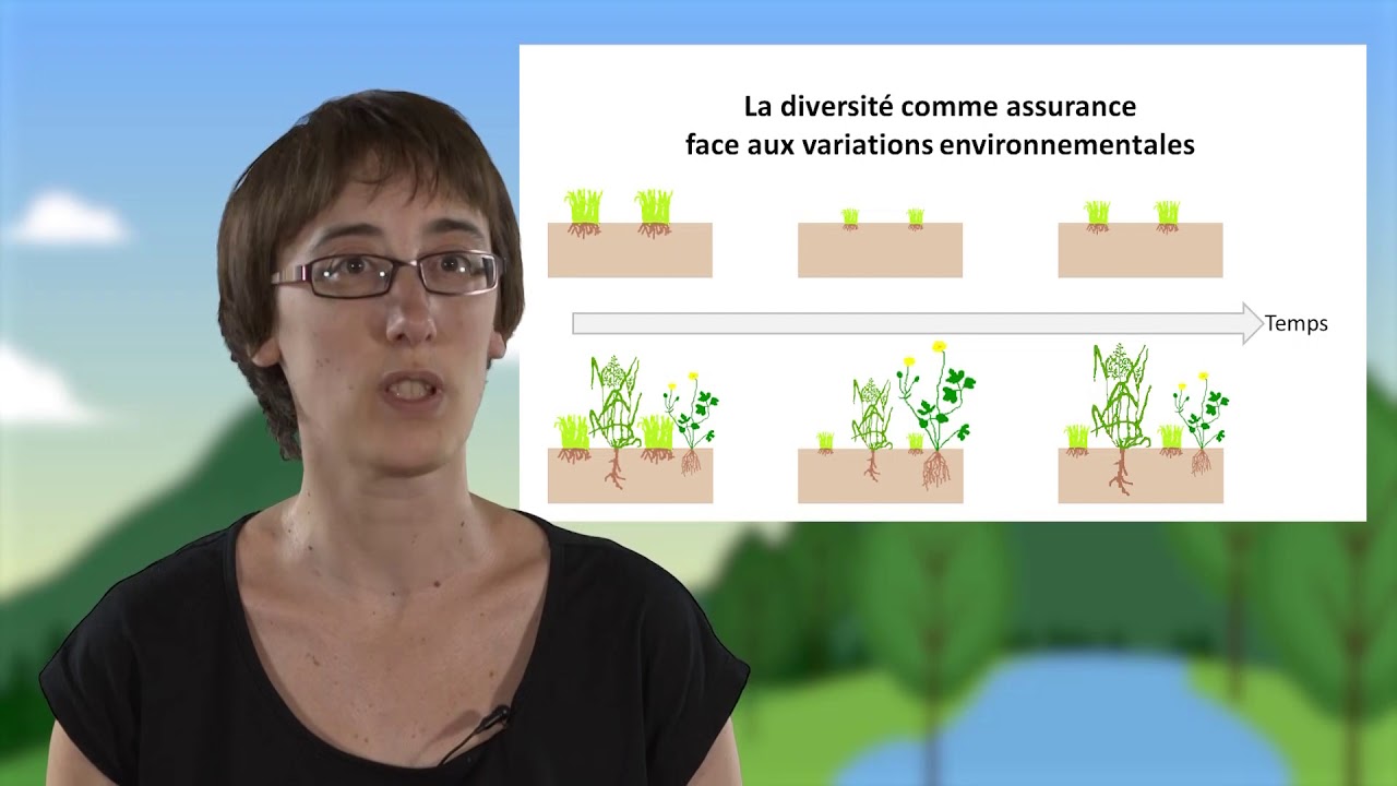 Biodiversité, fonctionnement et stabilité des écosystèmes