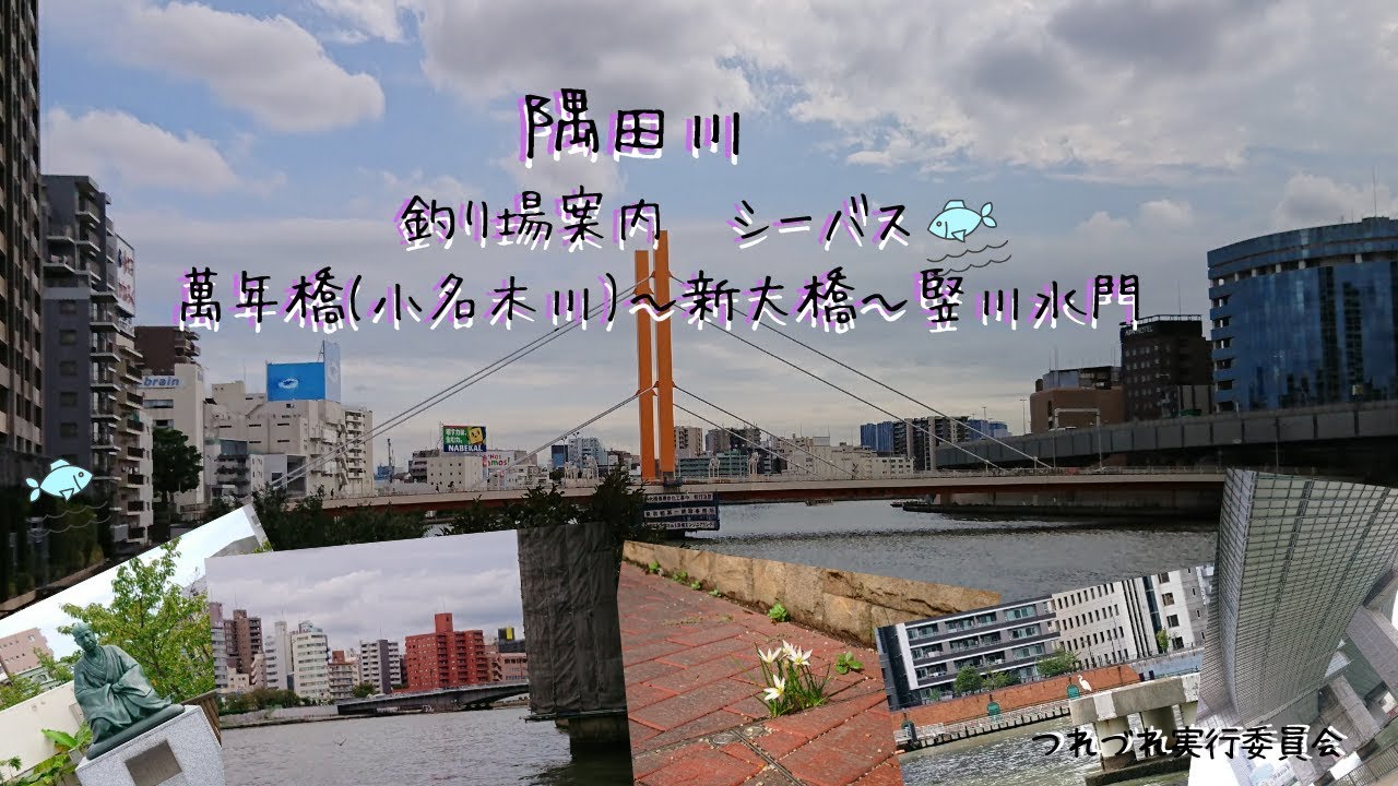 隅田川 No 2 釣り場案内 シーバス 萬年橋小名木川 新大橋 竪川水門 Youtube